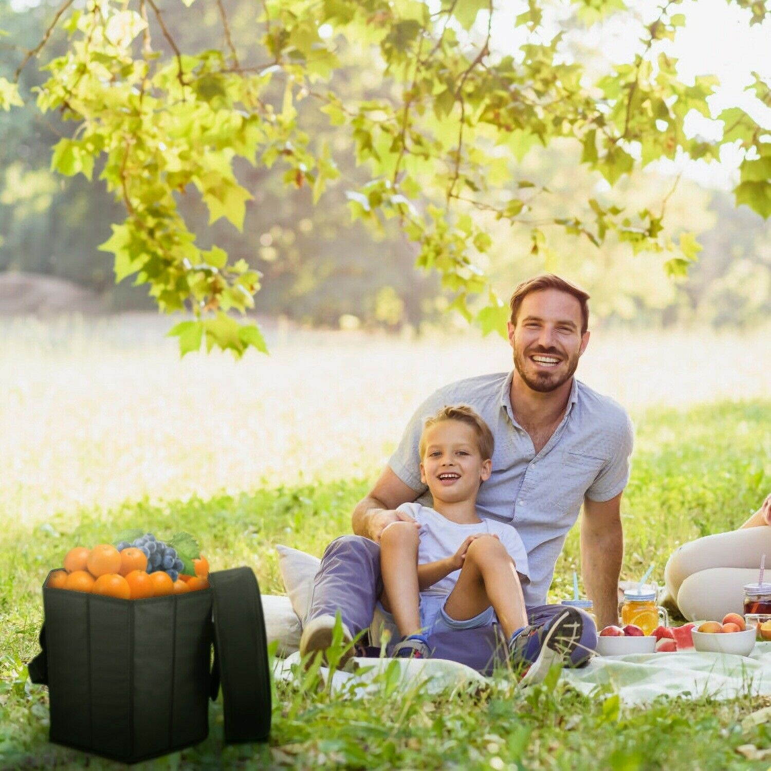 12 Qt Collapsible Soft Sided Insulated Cooler Bag Seat Outdoor Camping Traveling