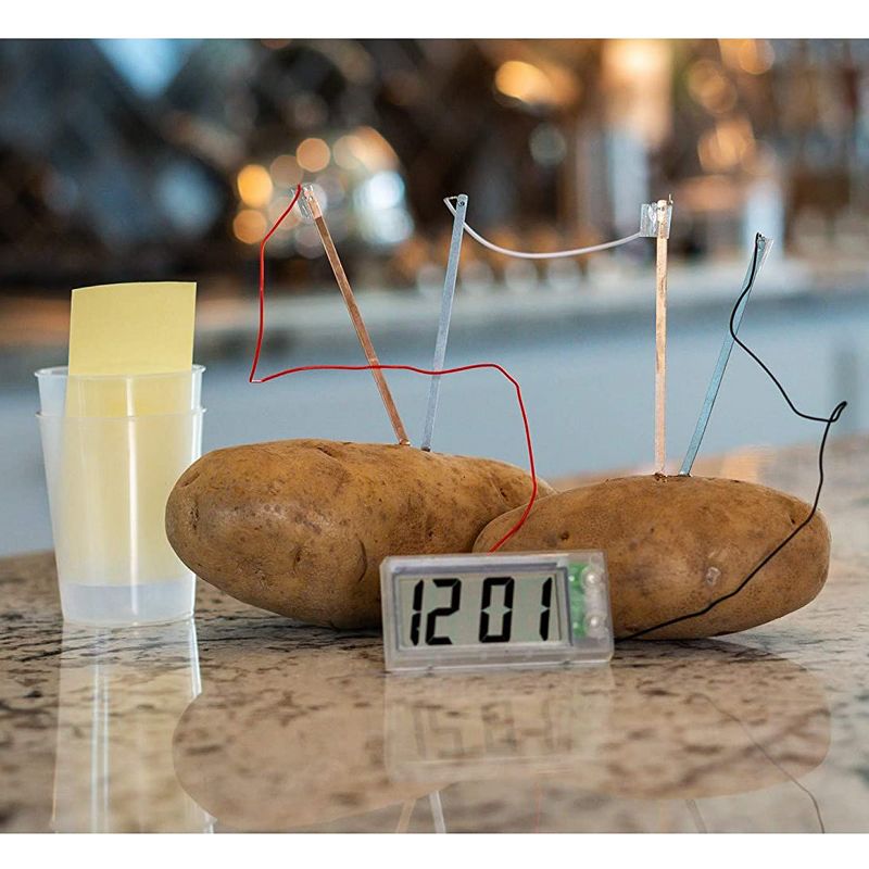 Toysmith 4M Green Science Digital Potato Clock