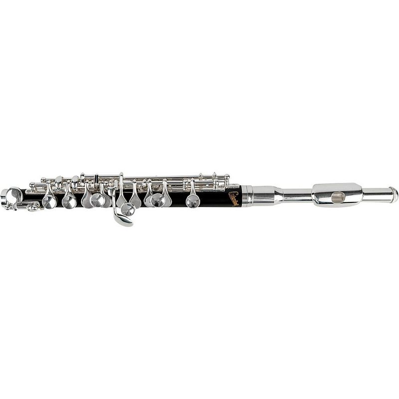 Allora AFL-250 Student Series Flute Offset G C-Foot