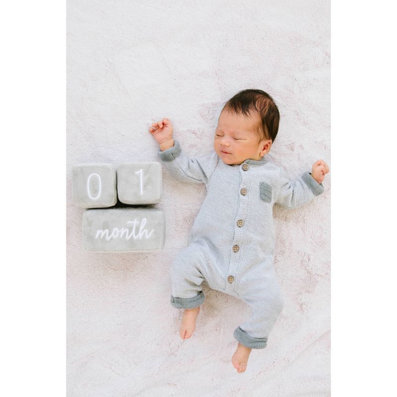 Pearhead Plush Milestone Blocks