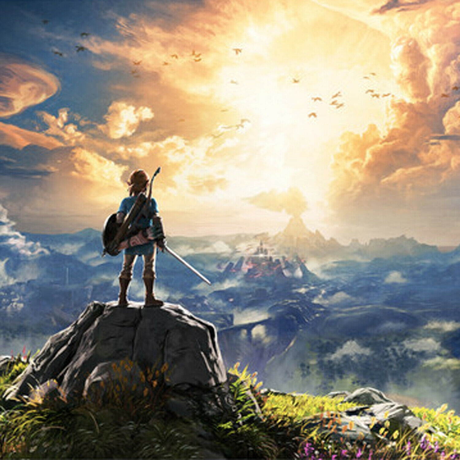 hollow knight  nintendo switch