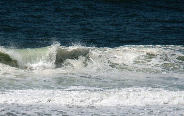 Opteka 500-1000mm f/8 HD Mirror Telephoto Lens for Canon EOS 80D, 77D, 70D, 60D, 60Da, 50D, 7D, 6D, 5D, 5DS, 1DS, T7i, T7s, T7, T6s, T6i, T6, T5i, T5, T4i, SL2 and SL1 Digital SLR Cameras