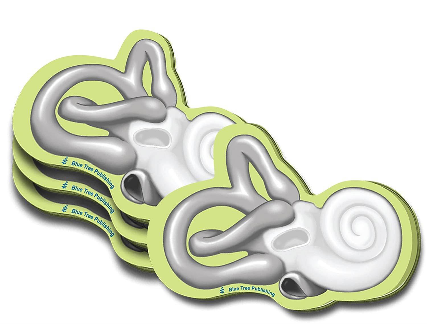 Cochlea Sticky Notes, 4 Packs-100 Sheets Per Pack