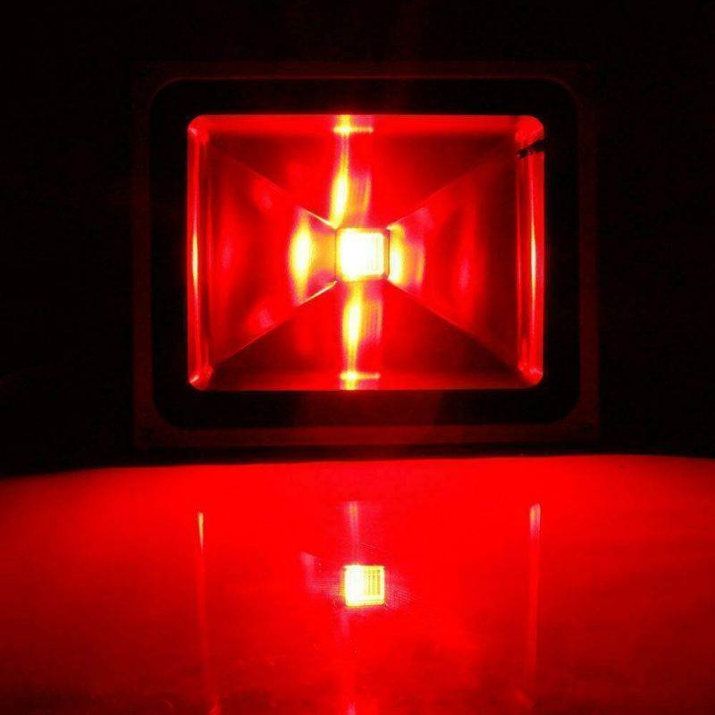 Carlo Robelli Brazilwood Violin Bow (1/4 Size)