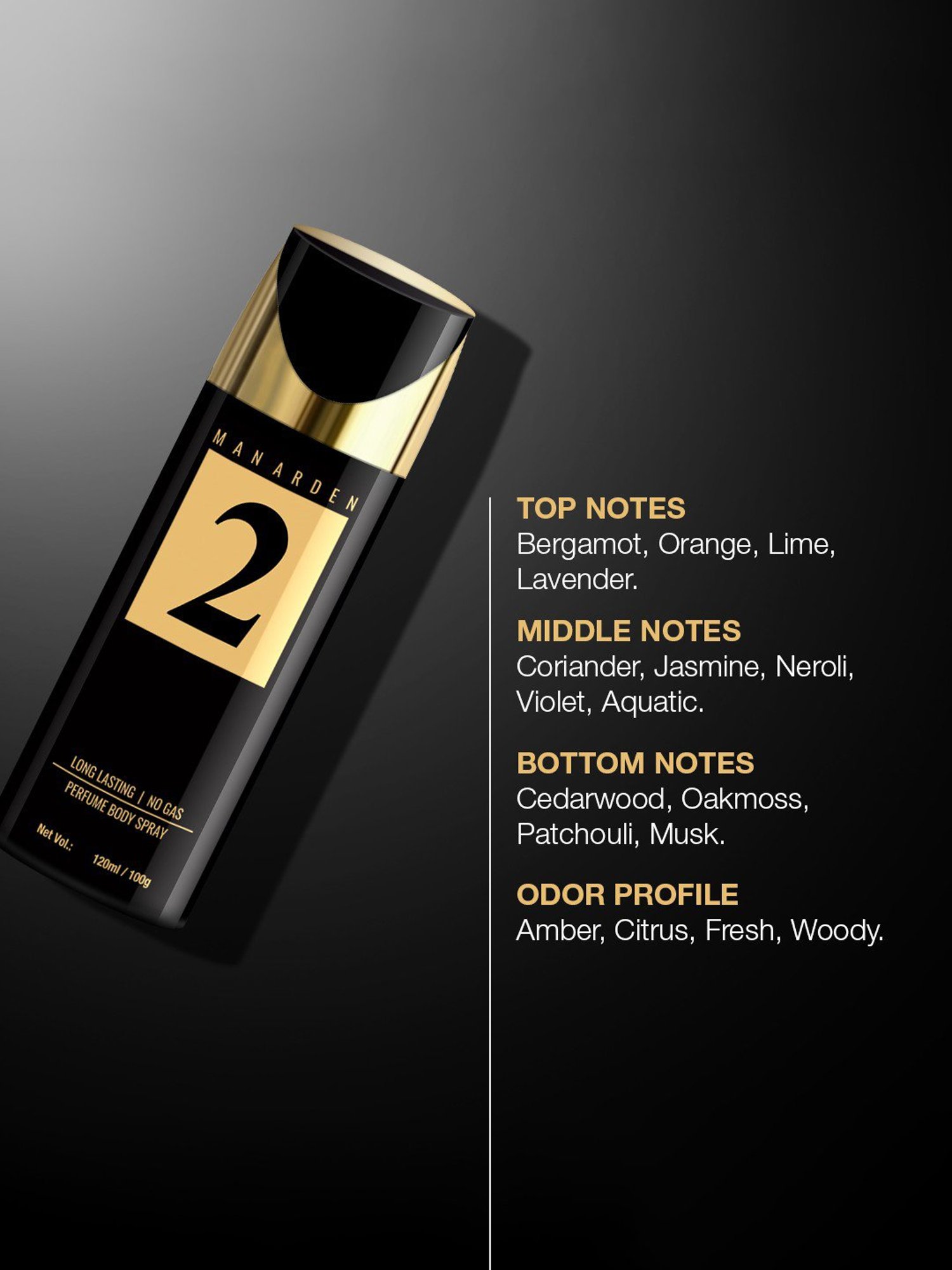 Man Arden 2 Long Lasting No Gas Perfume Body Spray - 120 ml