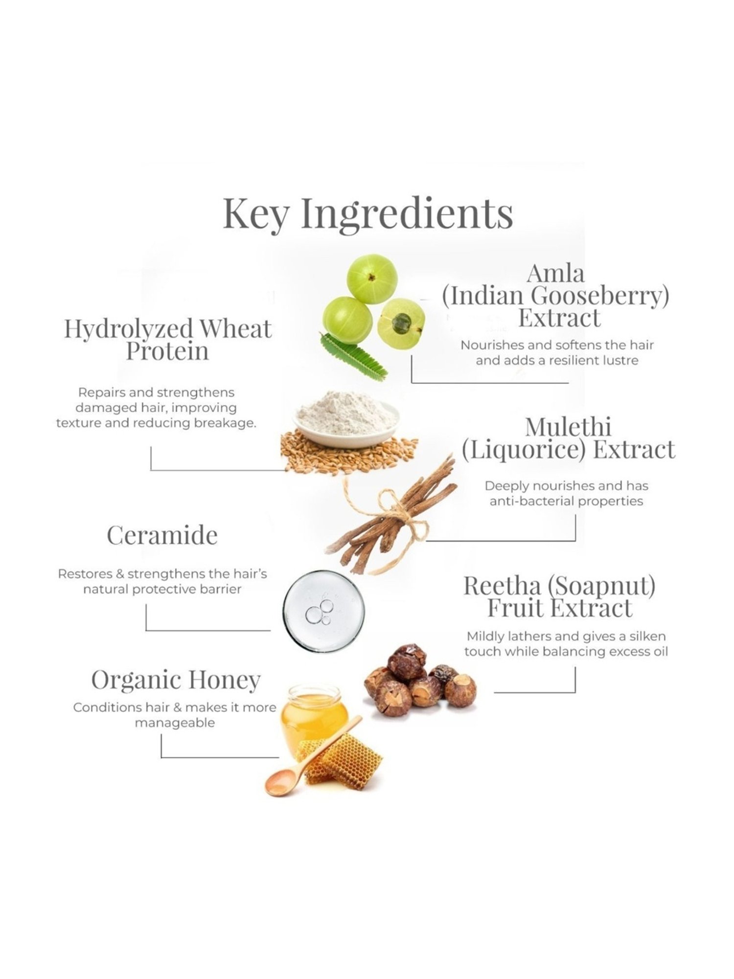 Forest Essentials Amla Honey & Mulethi Ayurvedic Hair Conditioner - 200 ml