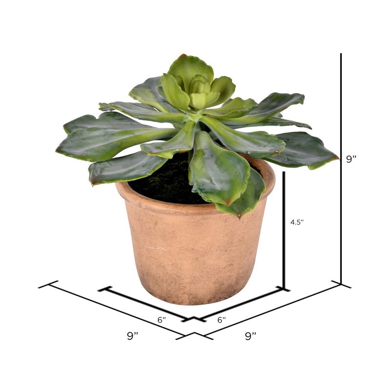 Vickerman 9" Succulent, Paper Pot.