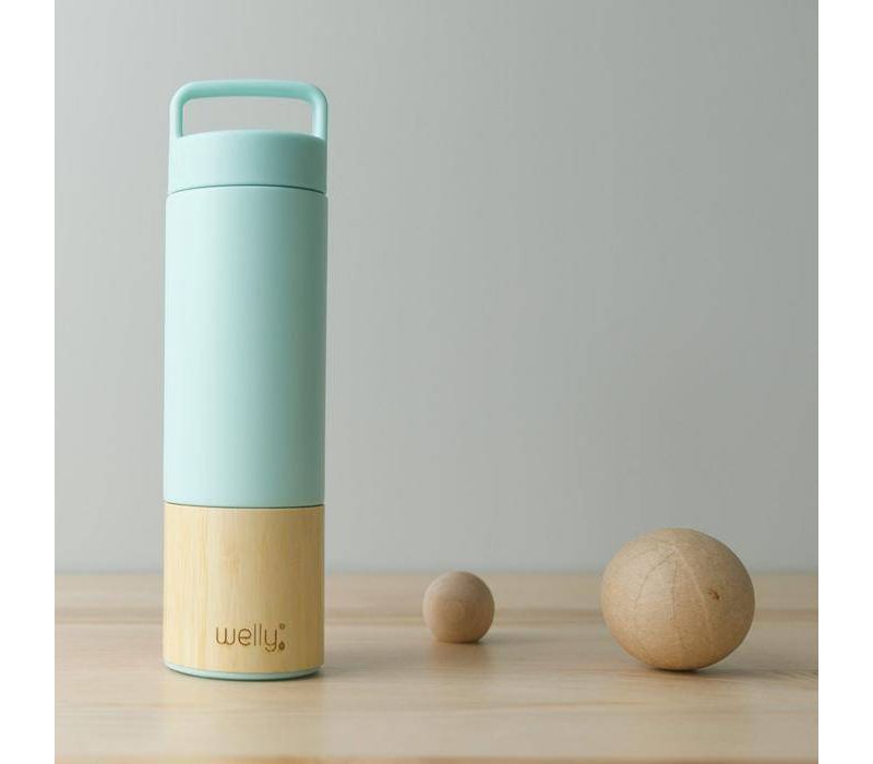 Welly Traveler 18oz - Mint
