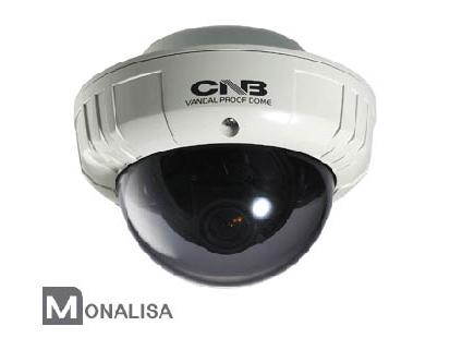 CNB VCM-24VD Outdoor Dome Camera, MONALISA 600 TVL, 4~9mm Lens, Vandal-Resistant, Dual Mount , Dual Power (OEM) DV252-4VD