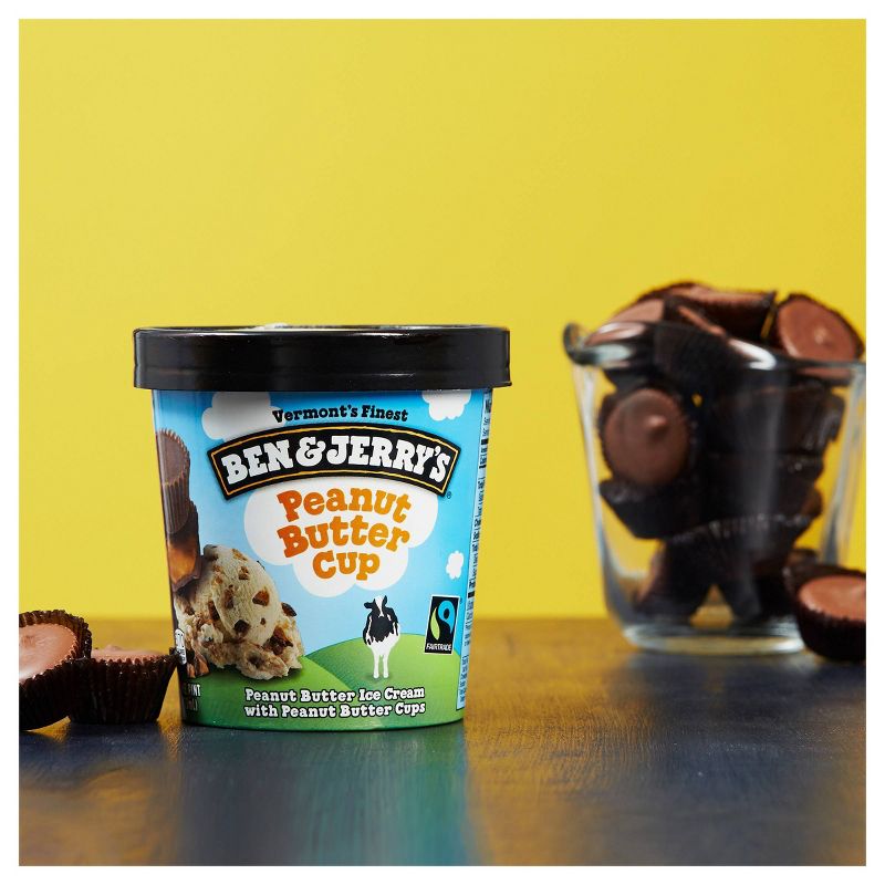 Ben & Jerry's Peanut Butter Cup Ice Cream - 16oz