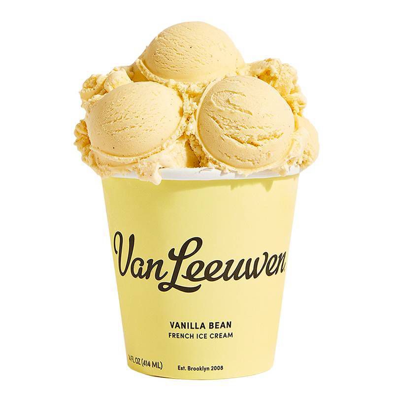 Van Leeuwen Vanilla Bean Ice Cream - 14oz