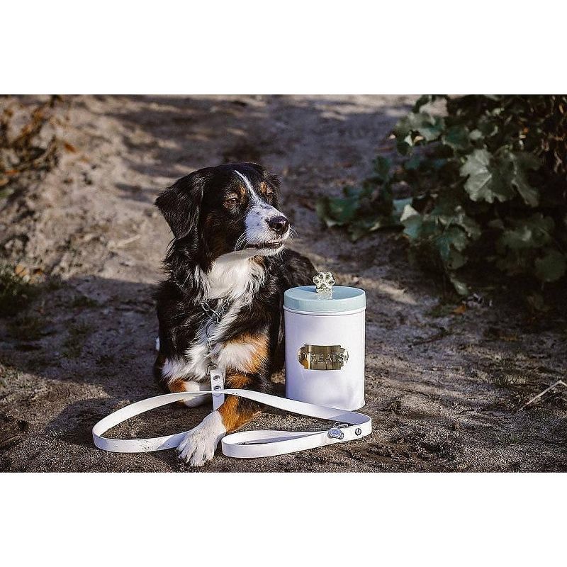 Amici Pet Bentley 54 oz Metal Treats Canister White/Mint, Single Container