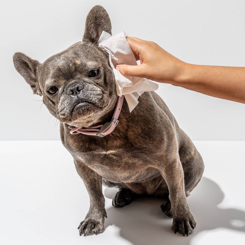 Wild One Biodegradable Grooming Dog Wipes - 70ct