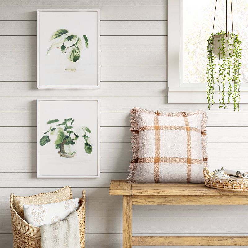 (Set of 2) 16" x 20" Pilea Peperomoides & Peperomia Melon Framed Canvas - Threshold™