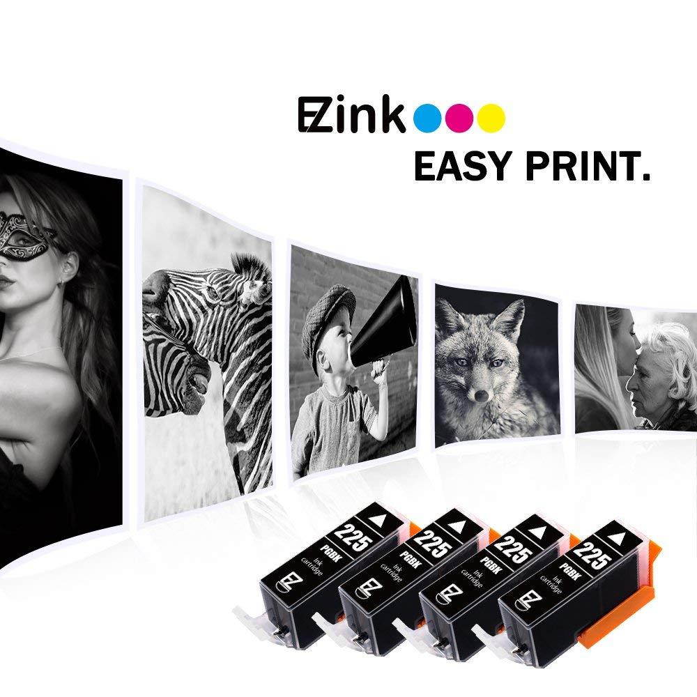 E-Z Ink (TM) Compatible Ink Cartridge Replacement for Canon PGI-225 PGI225 to use with PIXMA MX882 MX892 MG5320 MG6220 MG5220 MG6120 MG8220 MX712 IP4820 IP4920 IX6520 Printer (Large Black, 4 Pack)