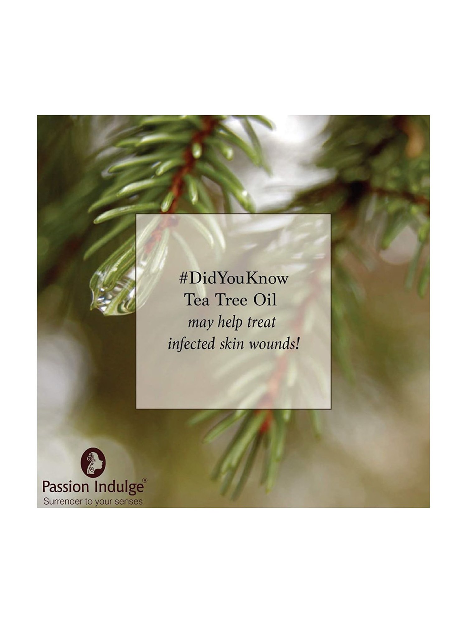 Cosmetofood Skinergy Bhring Amla Oil - 200 ml