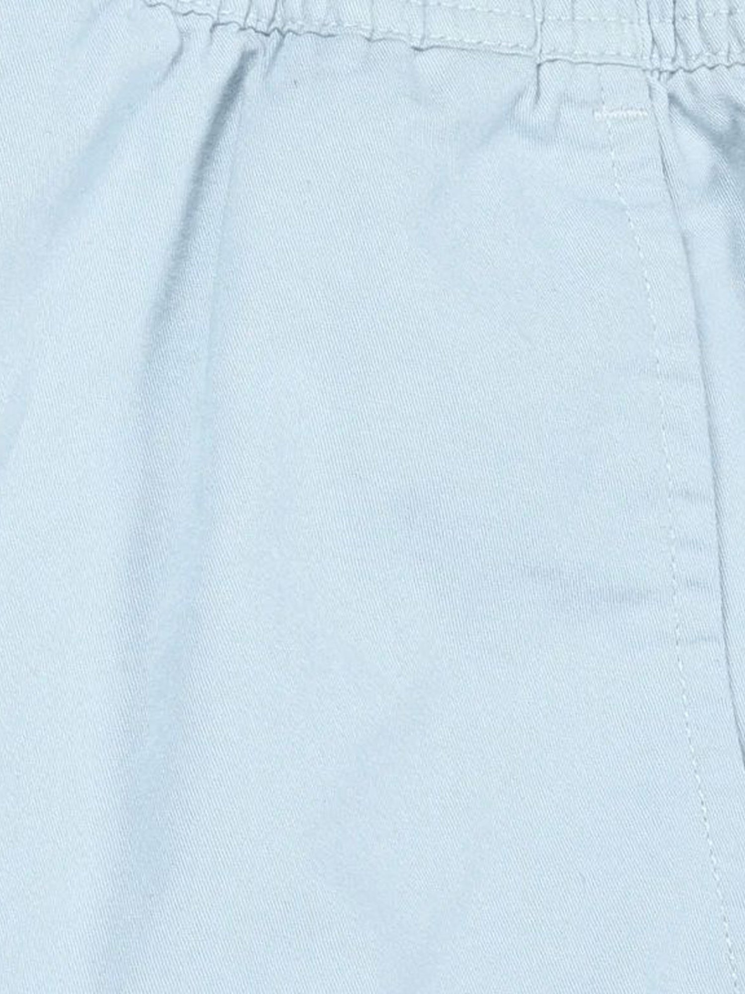 Thomas Scott Sky Blue Regular Fit Shorts