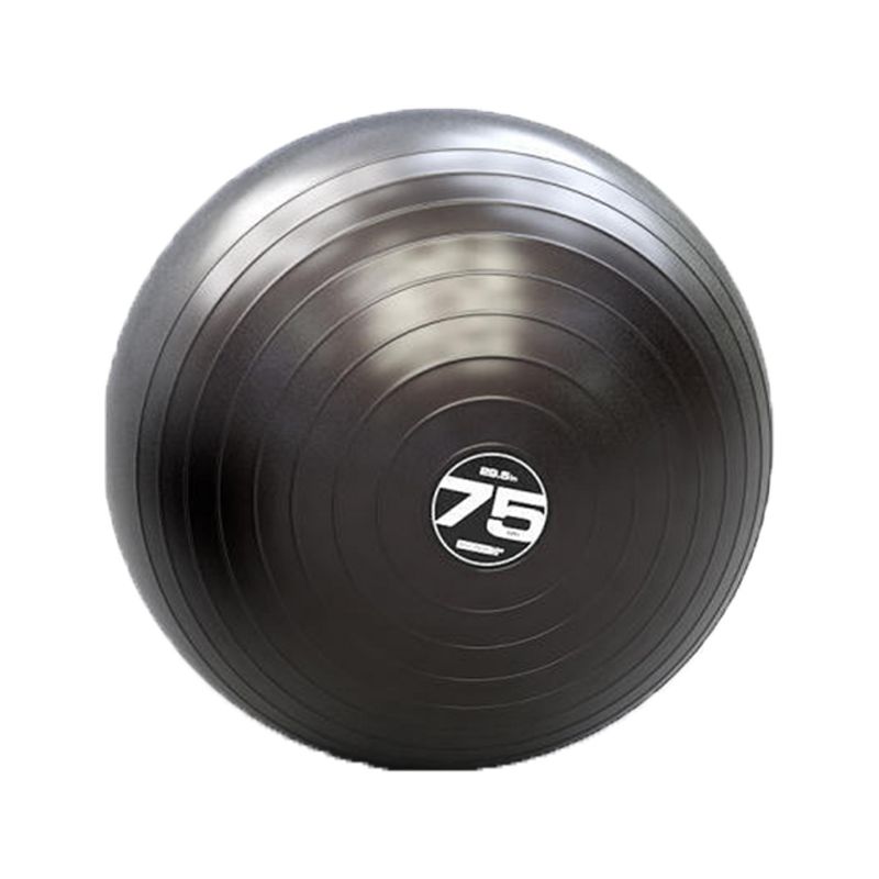 Escape Fitness Steadyball Pro Inflatable Exercise Workout Ball Equipment for Home or Gym Balance and Strength Gain, 75 Centimeters/28.5 Inches (Black)