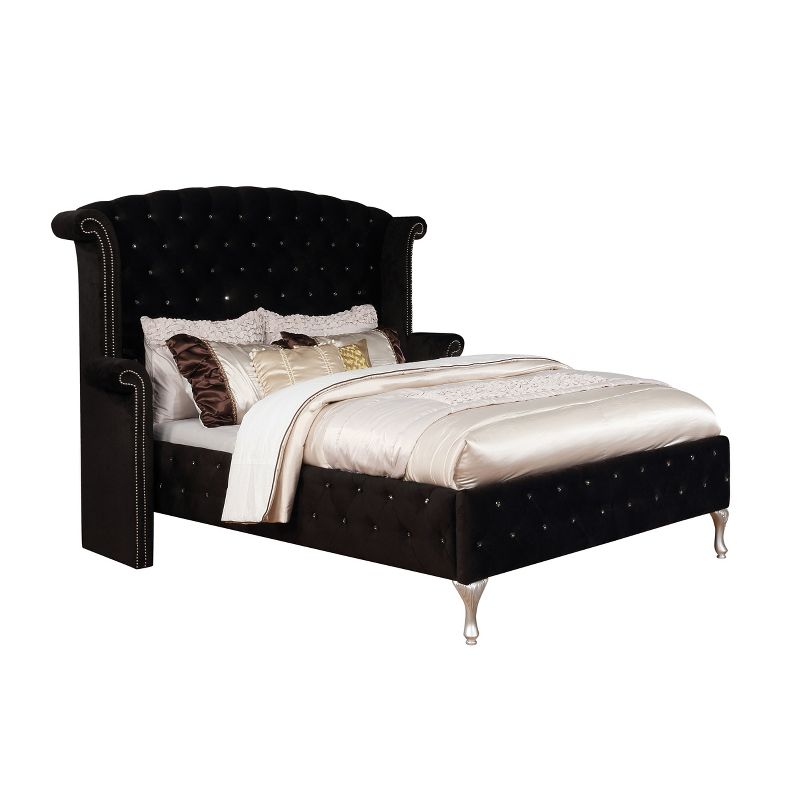 Conna Adult California King Bed Black - HOMES: Inside + Out