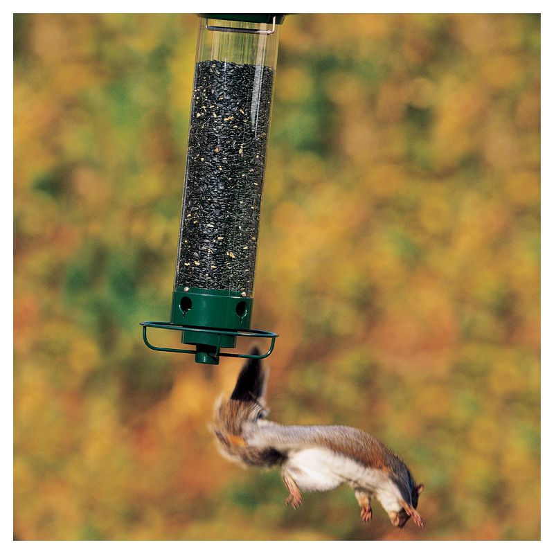 Droll Yankees Yankee Flipper Motorized Squirrel Proof Bird Feeder - Green - 21"