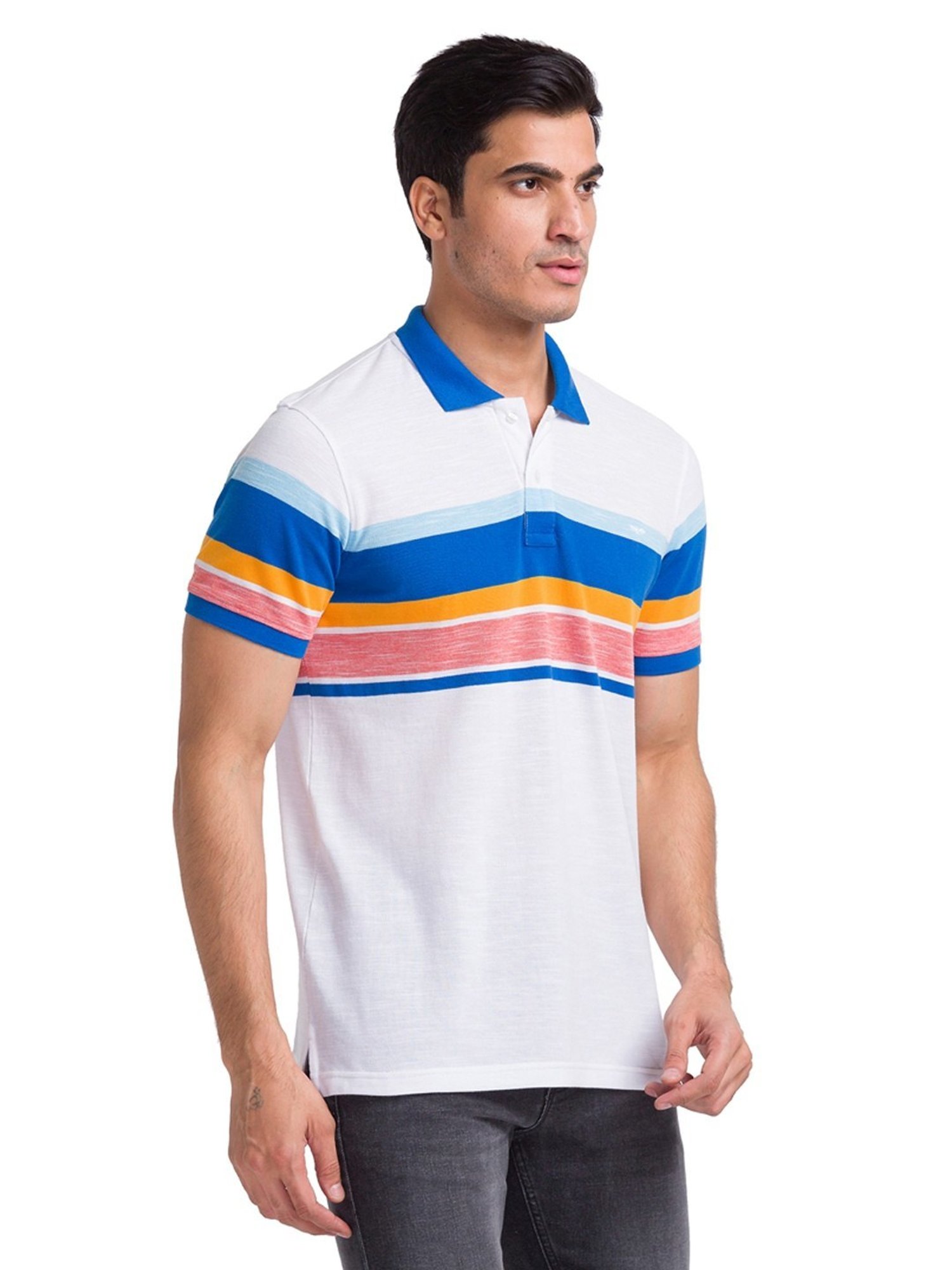 Park Avenue Blue Slim Fit Striped Polo T-Shirt