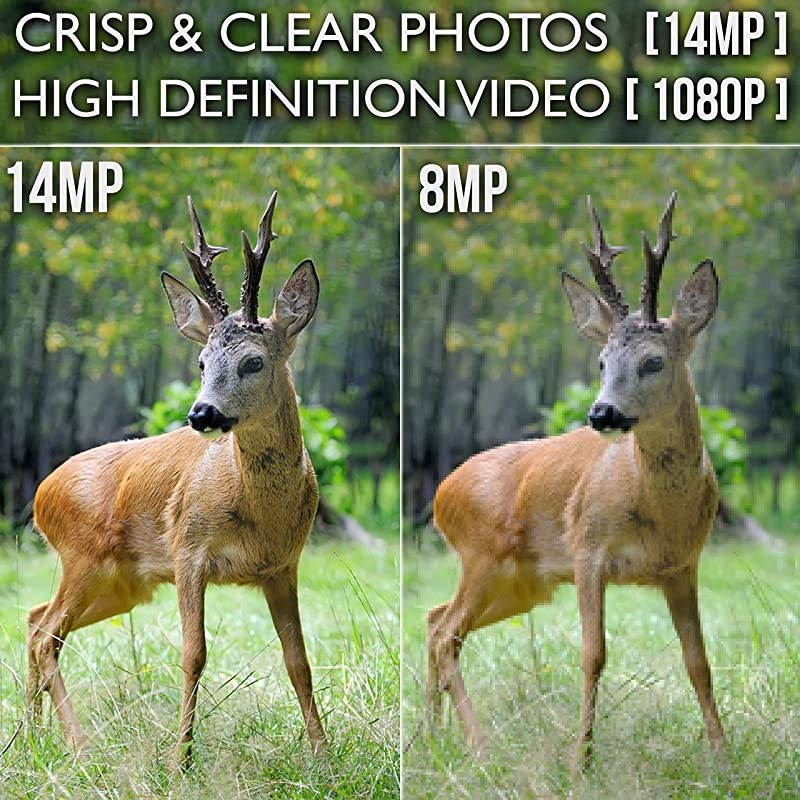 Trail Camera 14MP 1080P Full HD Wildlife Scouting Hunting Camera with Motion Activated Night Vision 120&deg; Wide Angle Lens 42 IR LEDs and 24 LCD Screen IP66 Waterproof Game Camera