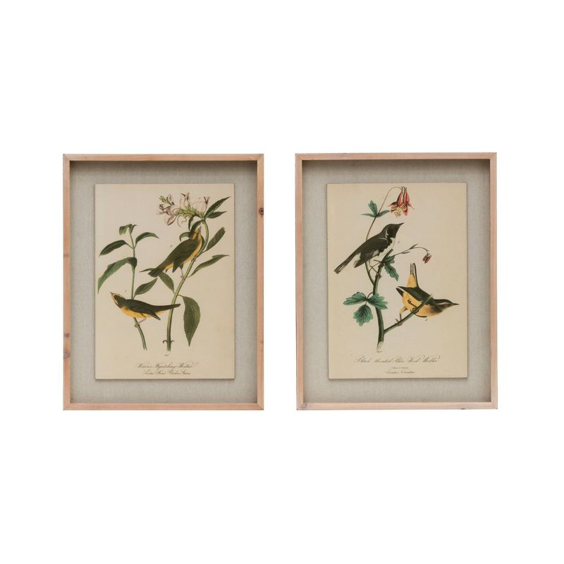 Set of 2 Wood Framed Wall Art Sets with Vintage Reproduction Birds - 3R Studios