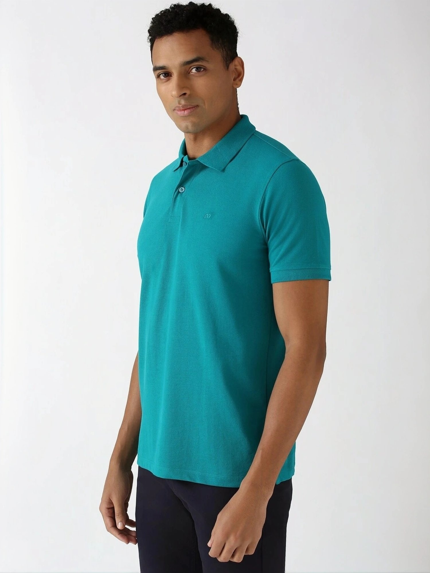 Peter England Blue Regular Fit Polo T-Shirt