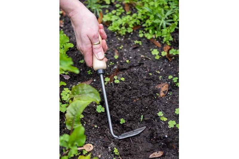 Gardener's Supply Lifetime Cape Cod Weeder, Right-Handed - Gardener's Supply Co.