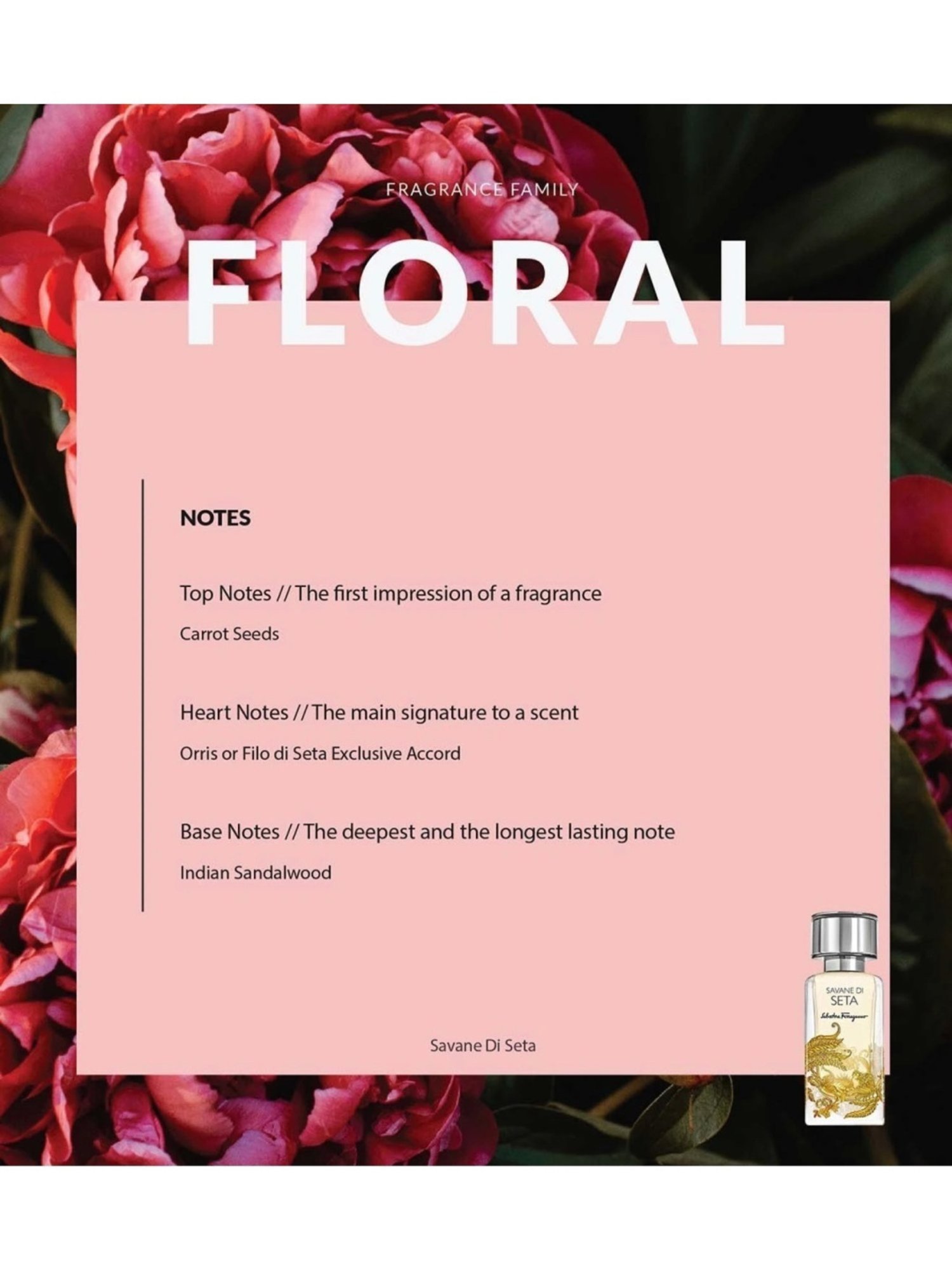 Salvatore Ferragamo Savane Di Seta Eau de Parfum 50 ml Unisex