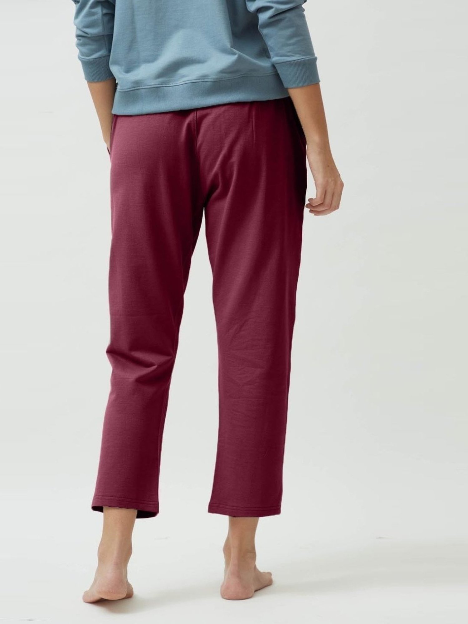 Saltpetre Timeless Organic Cotton Maroon Straight Fit Jogger