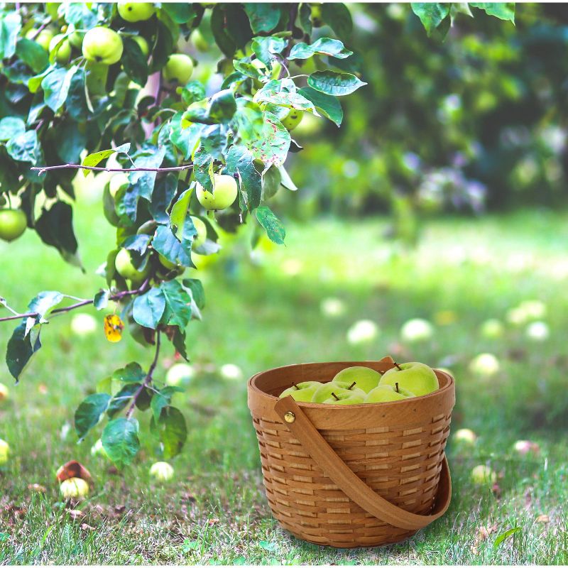 Vintiquewise Small Wood Chip Apple Picking Basket