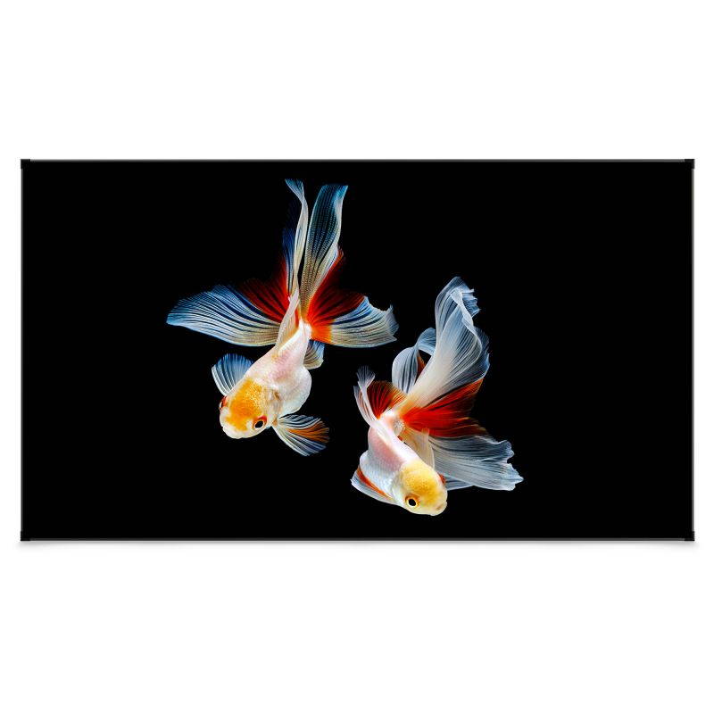 Projector Screen, VAVA 100&rdquo; 4K Ultra HD 16:9 Ambient Light Rejecting Fixed Frame Projector Screen, Ceiling Light Rejecting Projection Screen for Ultra-Short Throw Projectors