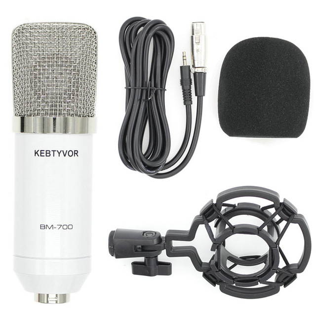 BM700 XLR Microphone Kit Professional Cardioid Studio Condenser Mic for Streaming Podcasting Gaming Vocal Recording