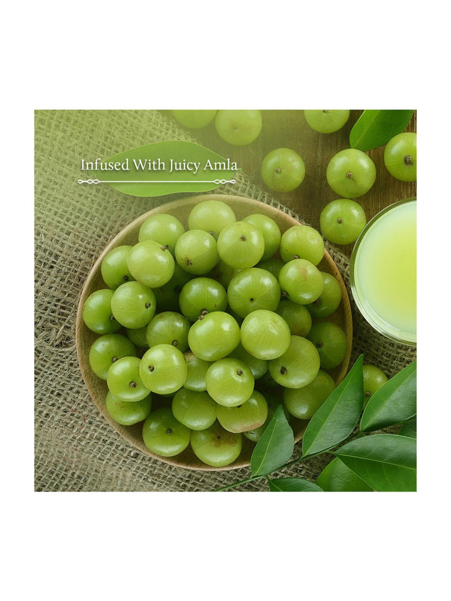 Blue Nectar Briganantadi Hair Fall Control & Healthy Scalp Oil - 200 ml