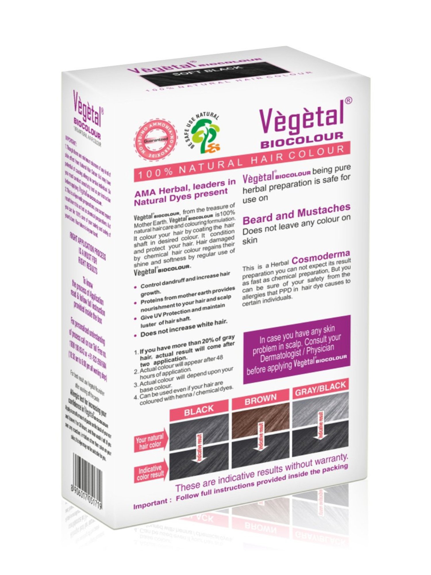 Vegetal Hair Bio Color Soft Black - 25 gm