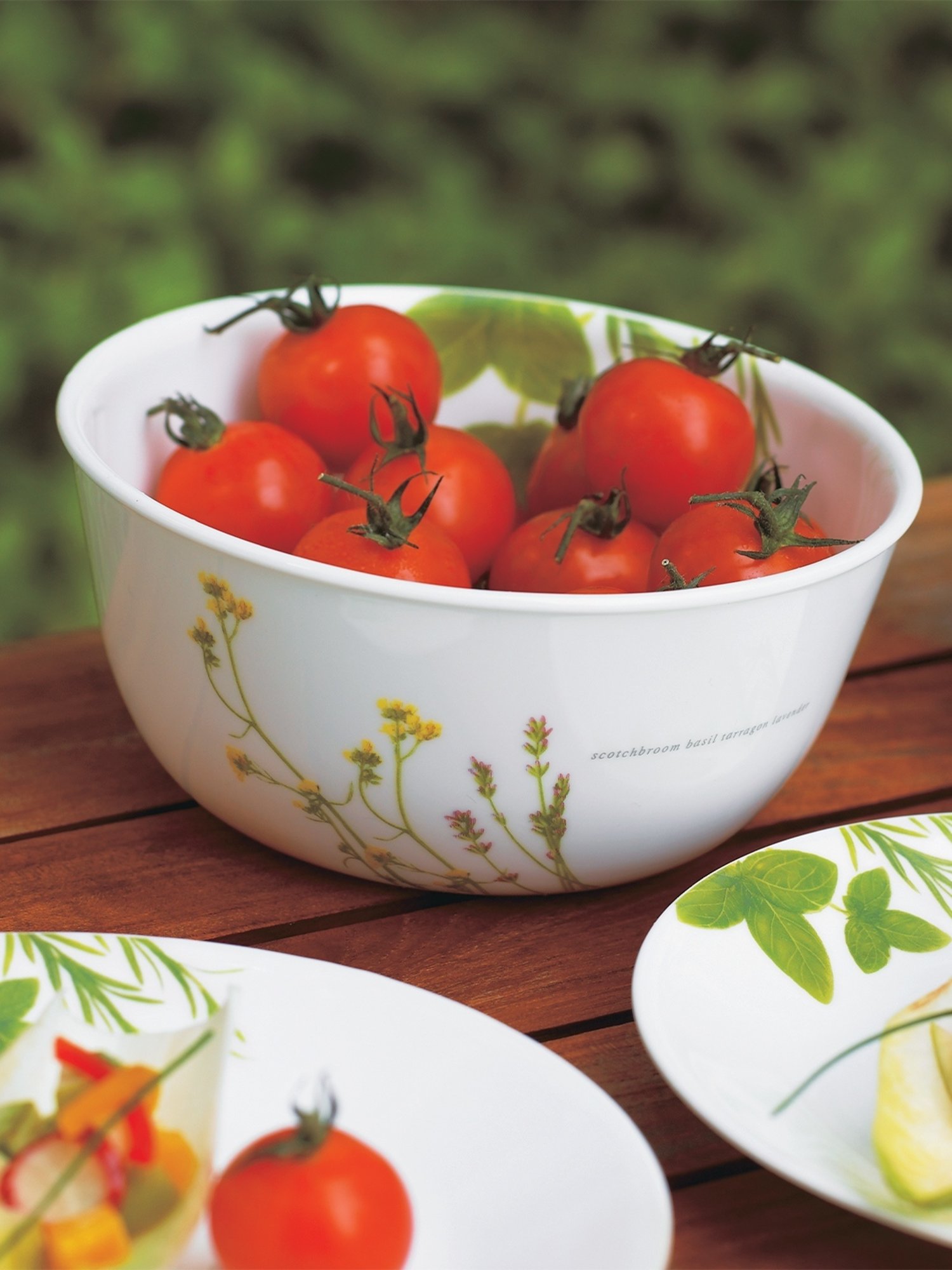 Cello White & Rust Glass Dinner Set