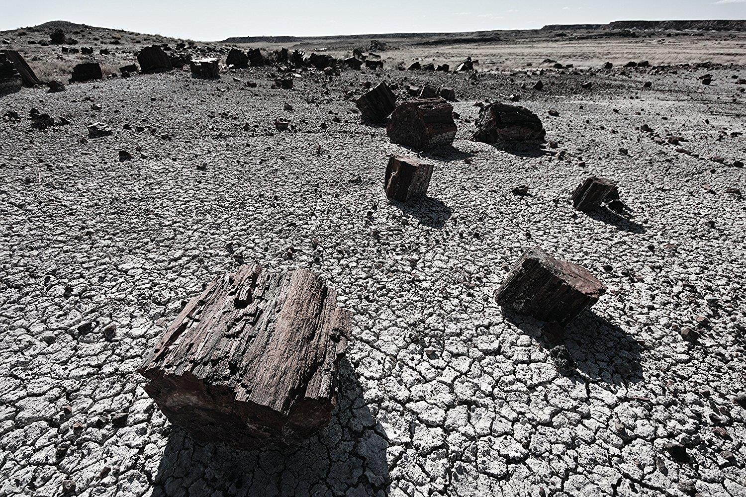 Sigma 8-16mm f/4.5-5.6 DC HSM FLD AF Ultra Wide Zoom Lens for APS-C sized Sony Digital DSLR Camera