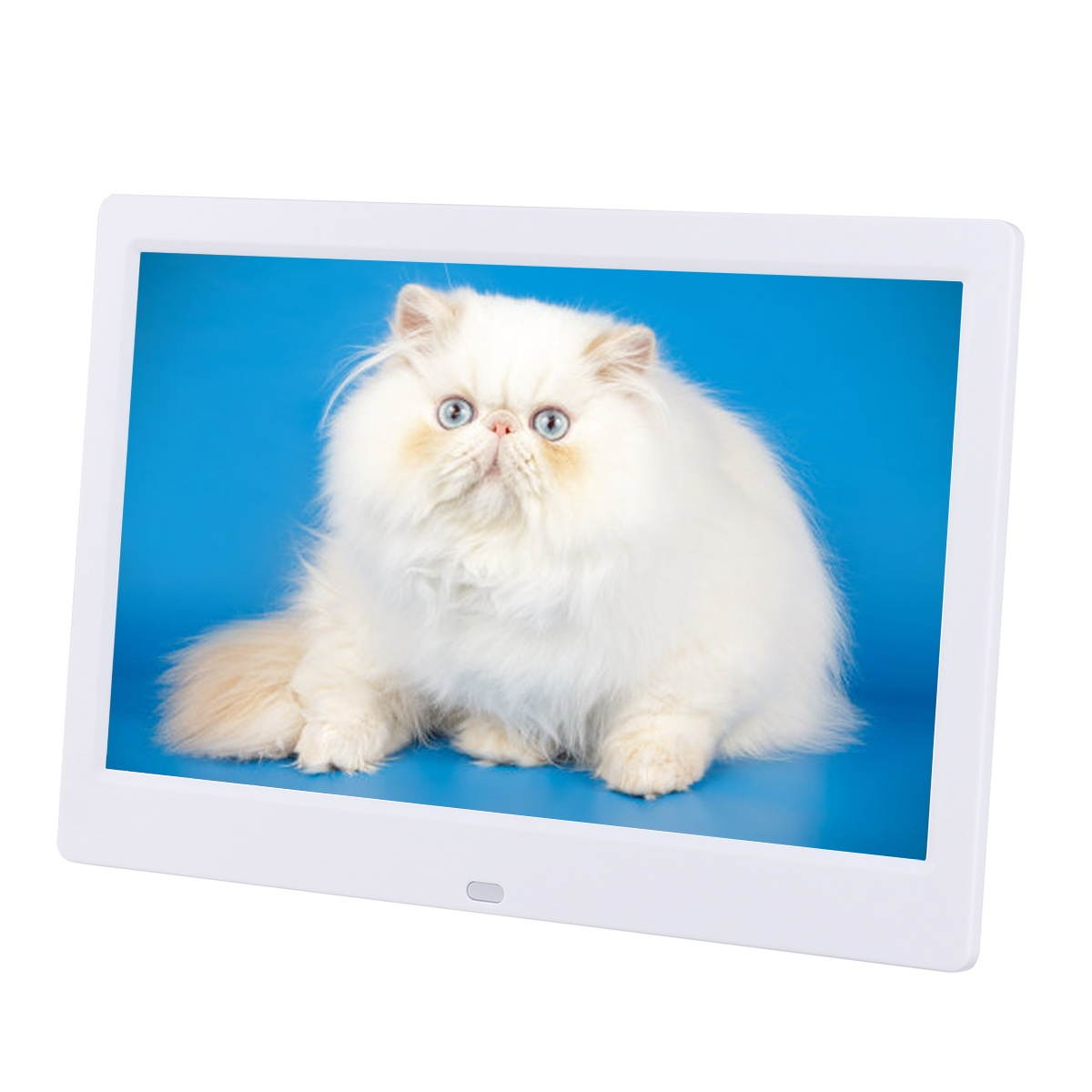 10 Inch 5V 1024x600 HD IPS LCD Digital Photo Frame Audio Video Player Support SD USB MMC MS Card With Remote Control