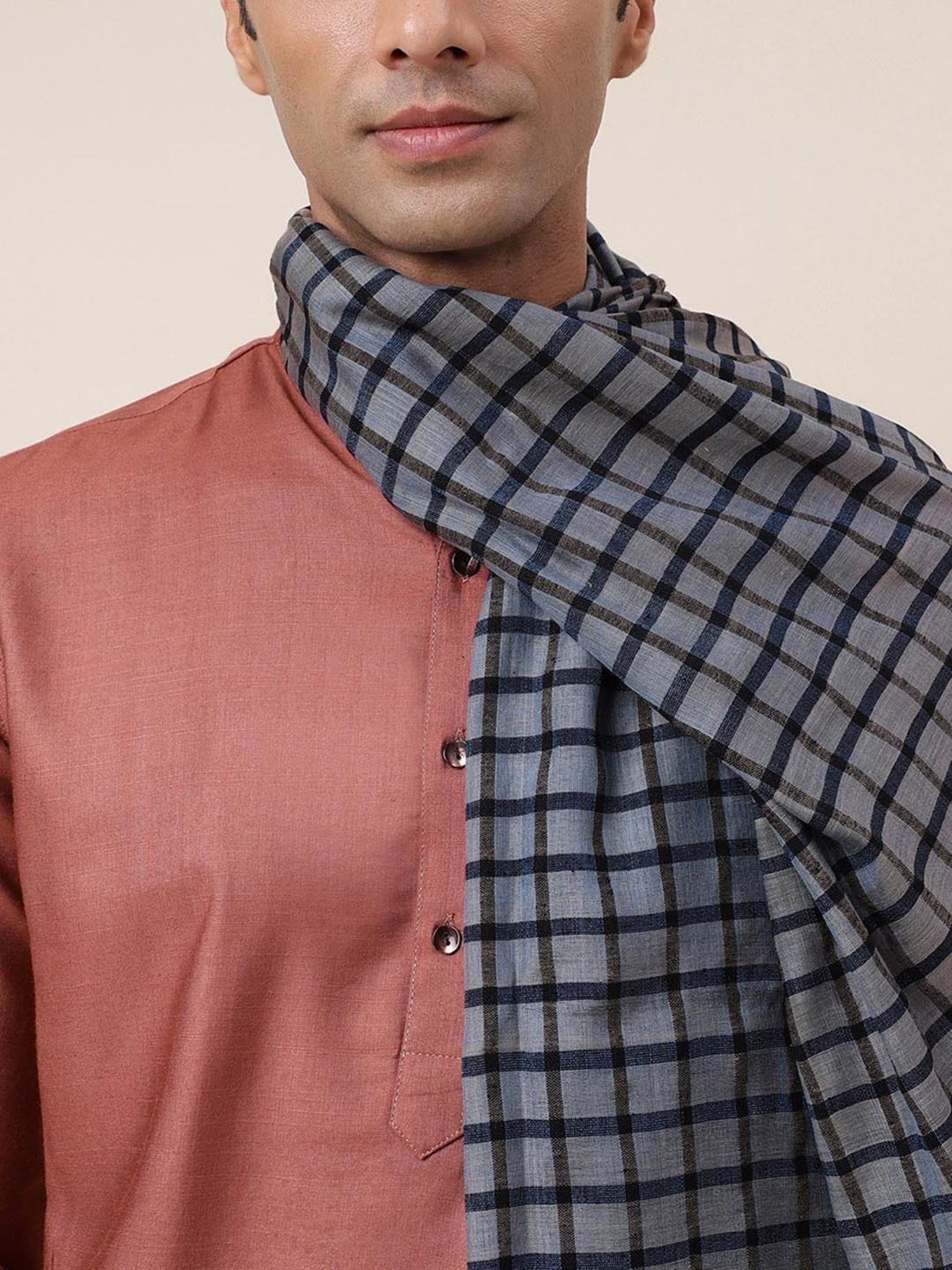 Fabindia Multicolor Check Stole