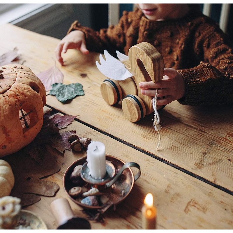 Kinderfeets Kids Rolling Bamboo Push and Pull Animal Toy for Toddlers and Children with Pull String, Swan