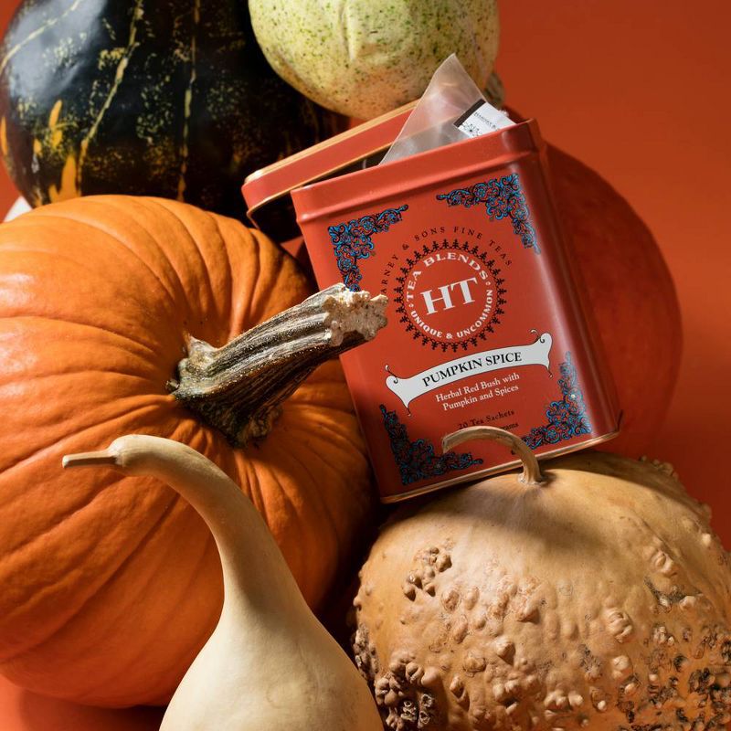 Harney & Sons Pumpkin Spice Herbal Tea - 20ct