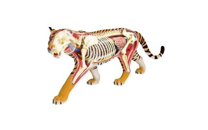 Thames & Kosmos Remote Control Machines