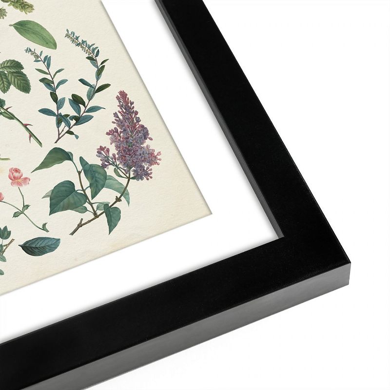 Americanflat Fresh Florals - Set of 2 Framed Prints by Wild Apple