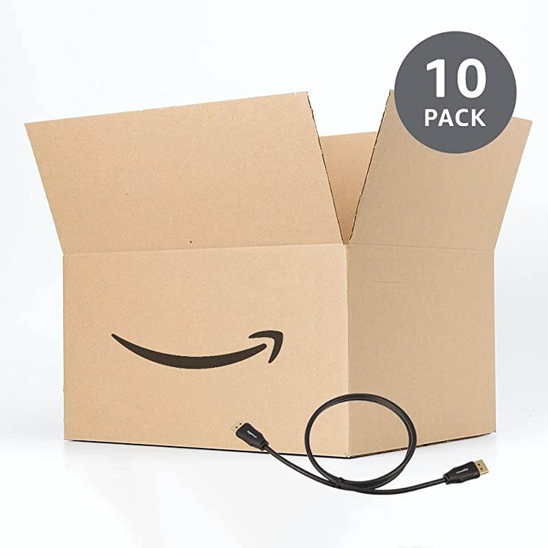 Basics DisplayPort to DisplayPort Cable 3 Feet10 pack