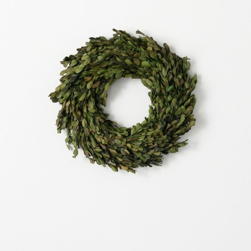 Sullivans Boxwood Artificial Wreath 12.5"H Green
