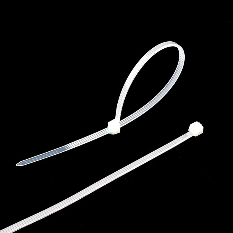 inches 30 lb Test Heavy Duty Nylon Cable Ties100 PCS Zip Ties 25mm200mm White