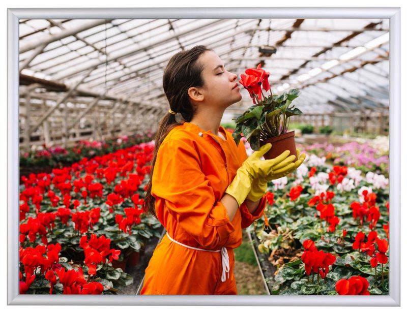 36 x 48 Poster Frame for Wall Mount, 1.5-inch-wide Hinged Profile for Loading Graphics Through the Front - Silver, Aluminum (QC3648SLV)