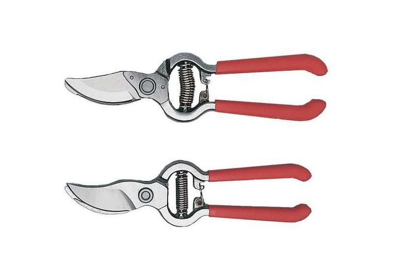 CORONA BP3160 Bypass Pruner,Steel,3/4 In.