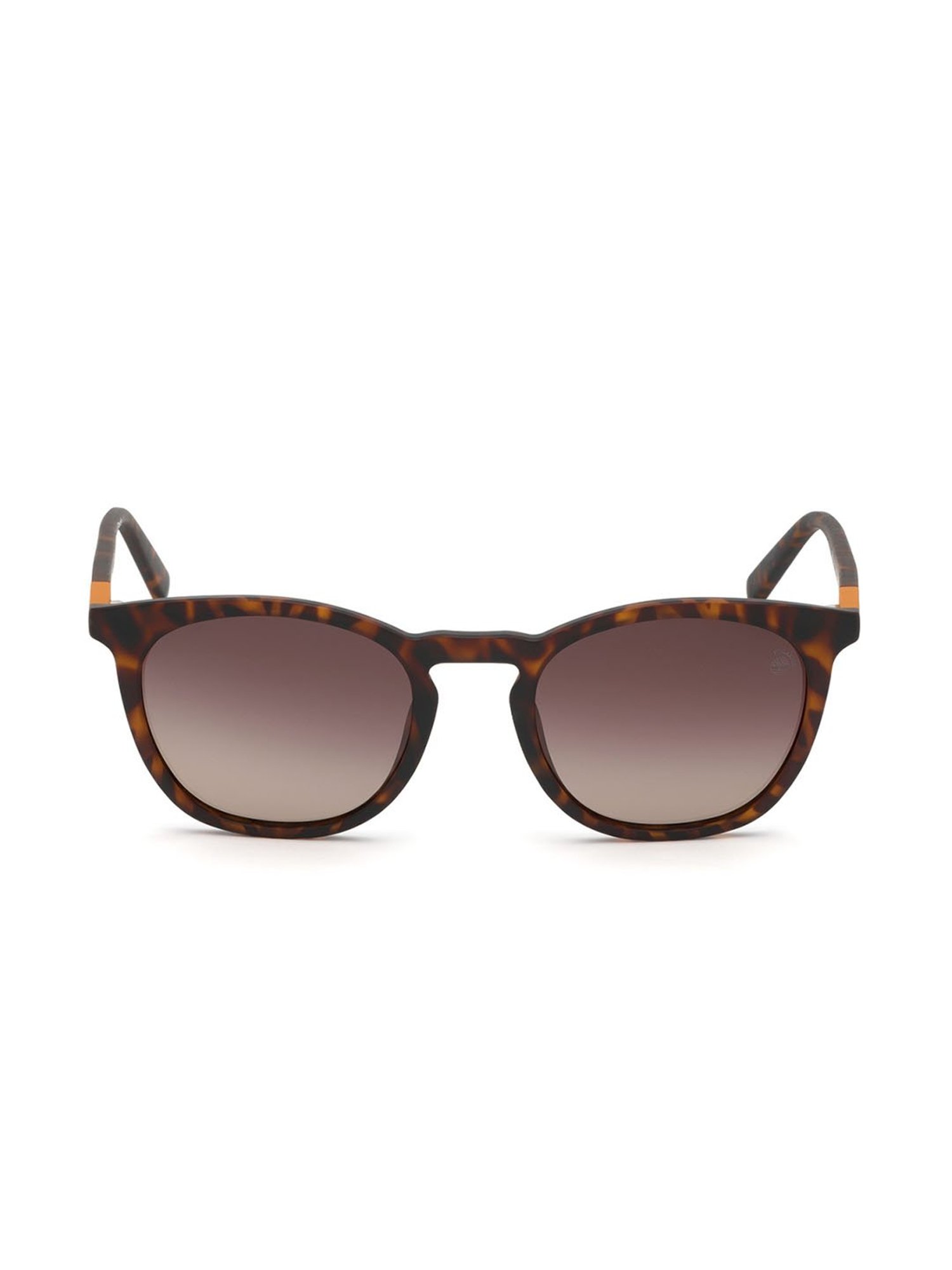 Timberland Brown Wayfarer Sunglasses for Men